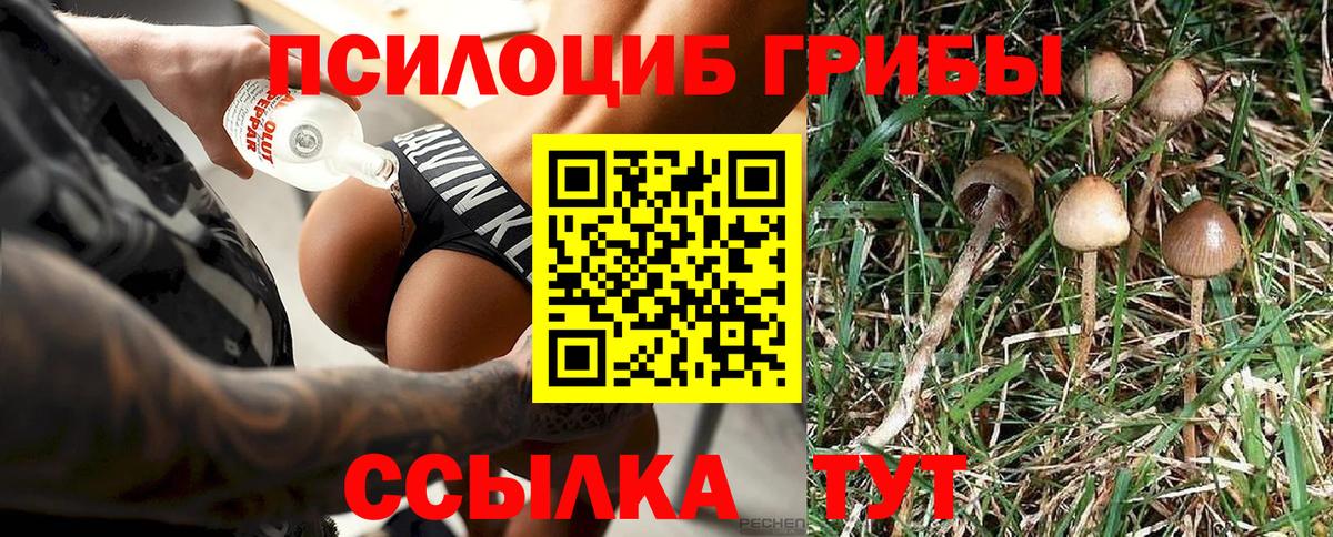 Ипатово  Псилоцибиновые грибы MAGIC MUSHROOMS  Вход с VPN 