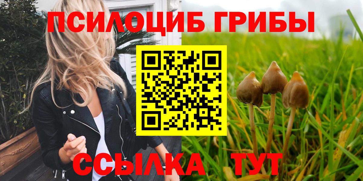 Псилоцибиновые грибы MAGIC MUSHROOMS Ипатово